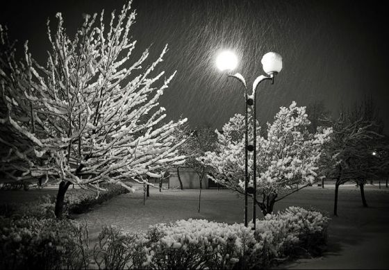 Ночь первого снега стихи