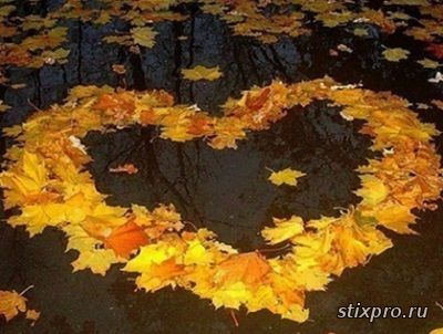 Под листьями желтеющего клёна стихи